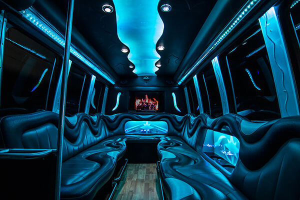 Winnipeg party buses