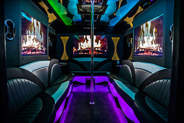 20-passenger party bus